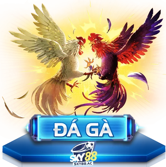 Đá gà sky88